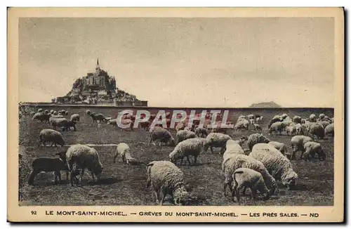 Cartes postales Le Mont Saint Michel Greves Du Mont Saint Michel Les Pres Sales Moutons