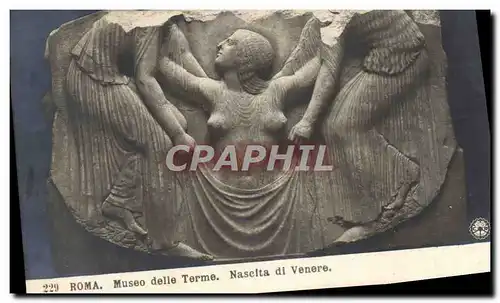 Cartes postales Roma Museo delle Terme Naselta di Venere