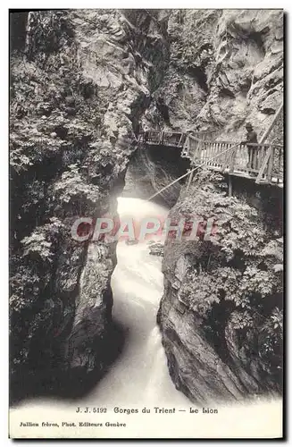 Cartes postales Gorges du Trient Le Lion