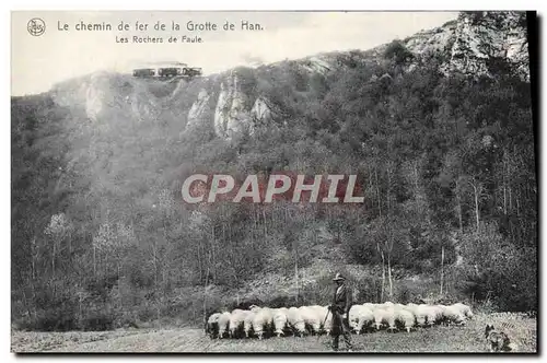 Cartes postales Le Chemin de Fer de la Grotte de Han Les rochers de la Faule Berger Moutons Chien