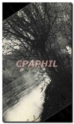 Cartes postales Geneve Le sentier des saules