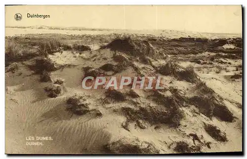 Cartes postales Duinbergen Les Dunes