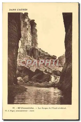 Cartes postales Dans L&#39Aures M&#39chouneche Les Gorges De l&#39Oued El Abiod