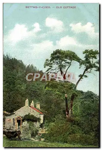Ansichtskarte AK Bettws Y Coed Old Cottage