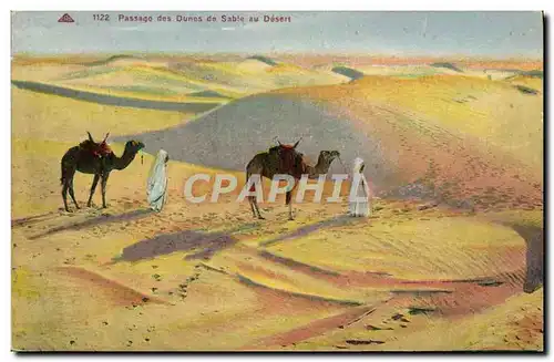 Cartes postales Passage Des Dunes De Sable Du Desert Chameaux