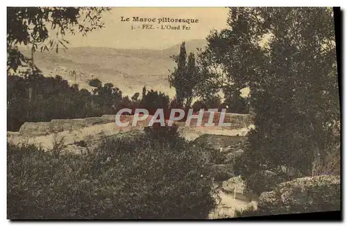 Cartes postales Le Maroc Pittoresque Fez L'Oued Fez