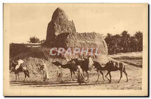 Cartes postales Un Marabout Dans Le Sud Chameaux