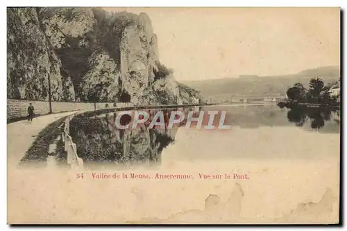 Cartes postales Vallee De La Meuse Anseremme Vue Sue Le Port