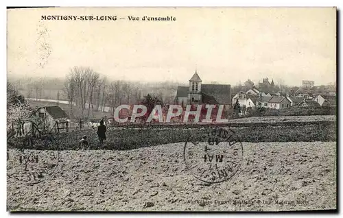 Cartes postales Montigny Sur Loing Vue d&#39Ensemble