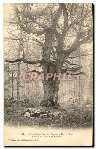 Ansichtskarte AK Fontainebleau Barbizon Un Chene Carrefour Du Bas Breau Arbre