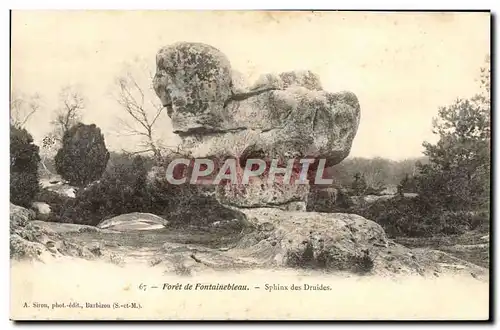 Ansichtskarte AK Foret De Fontainebleau Sphinx Des Druides