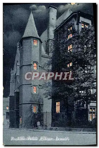 Cartes postales Lille Palais Rihour la Nuit