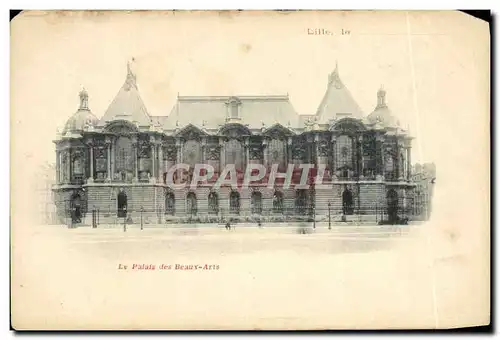 Cartes postales Lille Le Palais des Beaux Arts