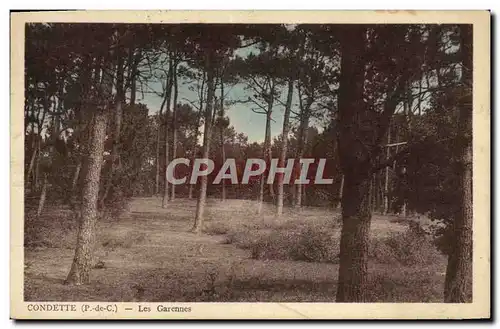 Cartes postales Condette Les Garennes