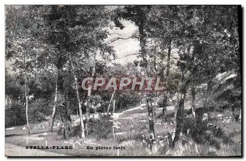 Cartes postales Stella Plage En Pleine Foret