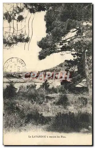 Cartes postales Le Lavandou a Travers les Pins