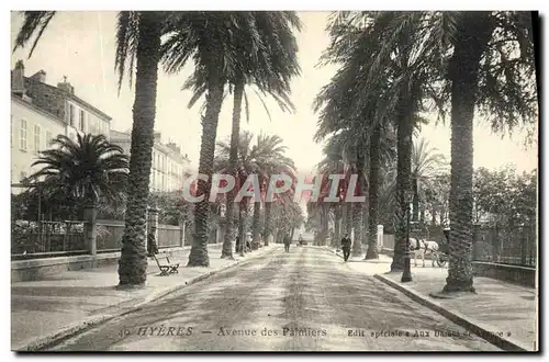 Cartes postales Hyeres Avenue des Palmiers