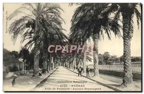 Cartes postales Hyeres Allee de palmiers Avenue Beauregard