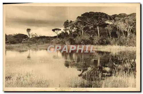 Ansichtskarte AK Hyeres Paysage sur la route de la plage