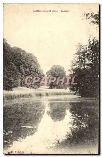 Cartes postales Chateau De Saint Saens L'Etang