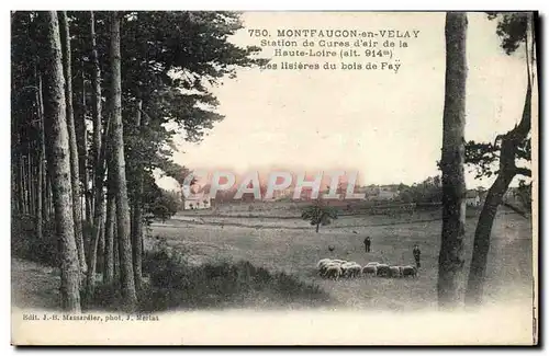 Cartes postales Montfaucon En Velay Station De Cures d&#39air Les lisieres du bois de Fay Moutons