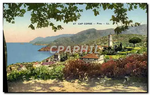 Cartes postales Cap Corse Pino