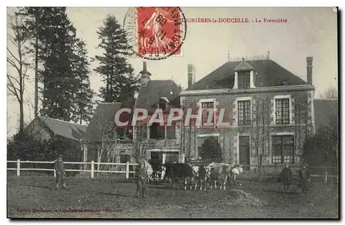 Cartes postales La Doucelle La Prevotiere Vaches
