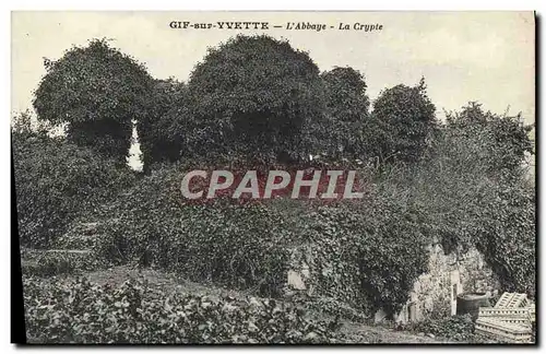 Cartes postales Gif Sur Vvette L&#39Abbaye La Crypte