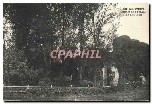 Cartes postales Gif Sur Vvette Ruines de L'Abbaye Le petit bois