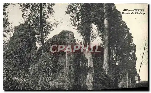 Cartes postales Gif Sur Vvette Ruines de L'Abbaye