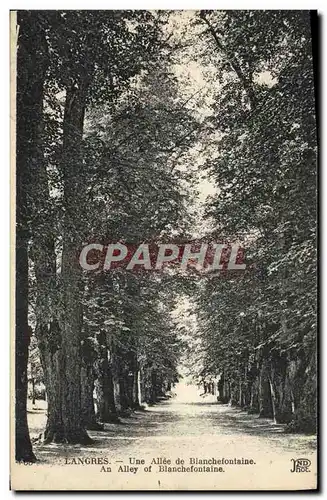 Cartes postales Langres Une Allee de Blanchefontaine
