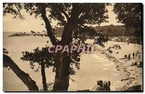 Cartes postales Noirmoutier Plage des Dames