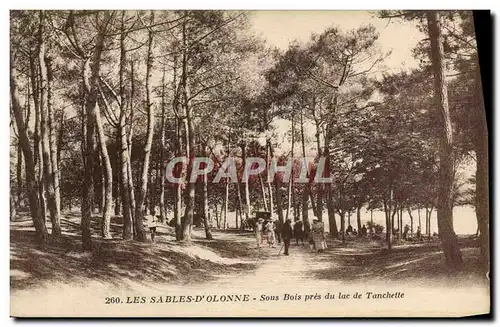 Ansichtskarte AK Les Sables D&#39Olonne Sous Bois Pres du Lac de Tanchette