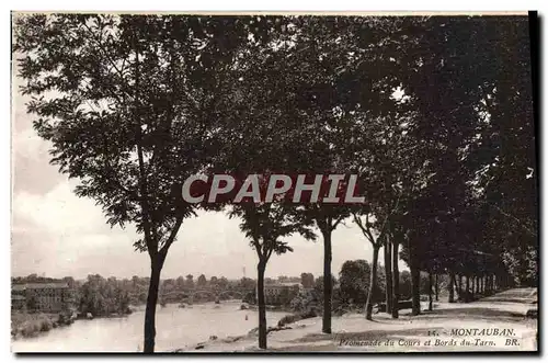 Ansichtskarte AK Montauban Promenade du Cours et Bords du Tarn