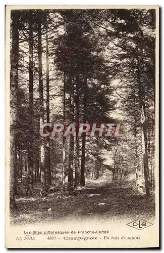 Cartes postales Jura Champagnole Un Bois de Sapins