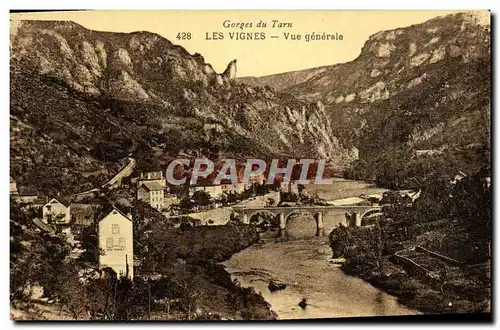 Cartes postales Gorges Du Tarn Les Vignes Vue Generale