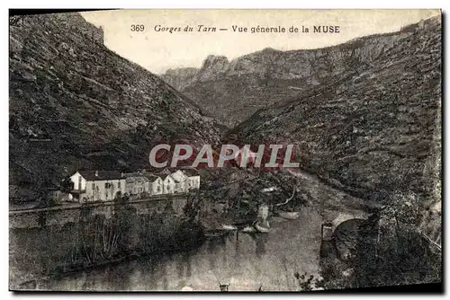 Cartes postales Gorges Du Tarn Vue Generale de la Muse