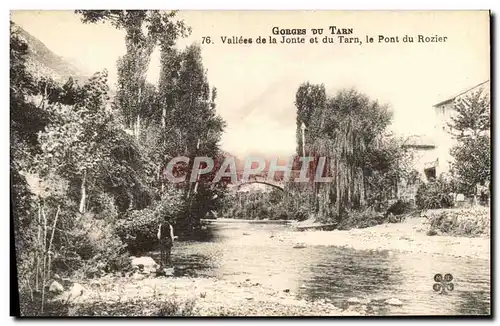 Cartes postales Gorges Du Tarn Vallees de la Jonte et du Tarn le Pont du Rozier