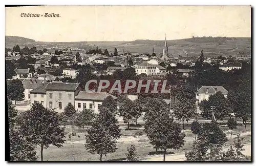 Cartes postales Chateau Salins