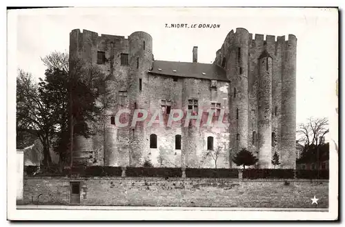 Cartes postales Niort Le Donjon