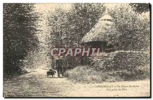 Cartes postales Seignelay La Hutte Gauloise Vue Prise Du Parc