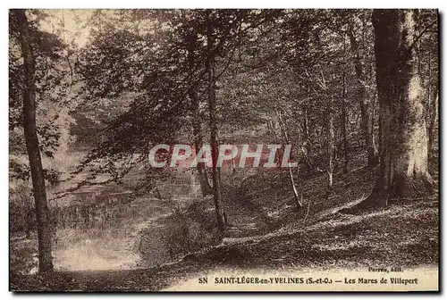 Cartes postales Saint Leger En Yvelines Les Mares De Villepert