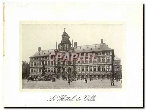 Cartes postales Anver L&#39Hotel De Ville