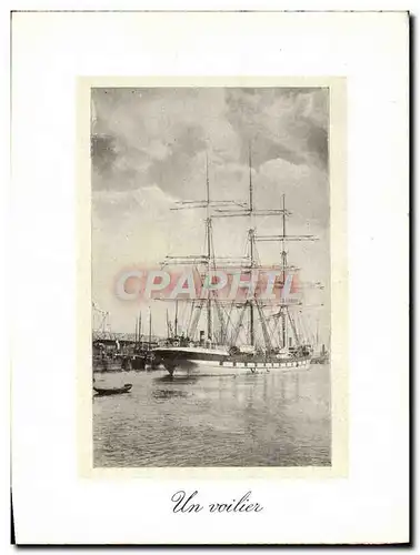 Cartes postales Anvers Un Voilier Bateau