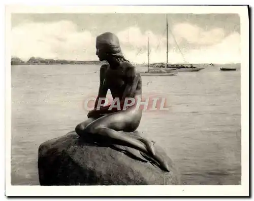 Cartes postales moderne Copenhague