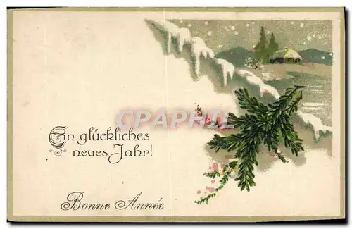 Cartes postales Fantaisie Nouvel an