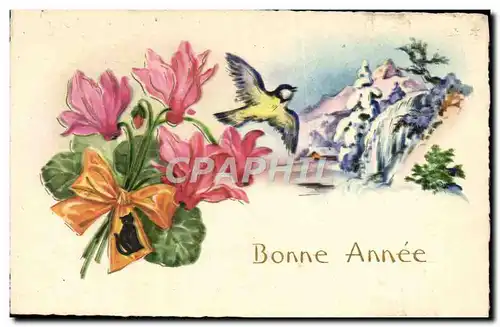 Cartes postales Fantaisie Bonne annee Oiseau