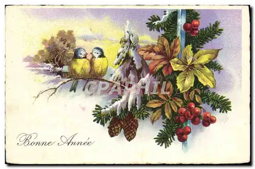 Cartes postales Fantaisie Bonne annee Oiseaux