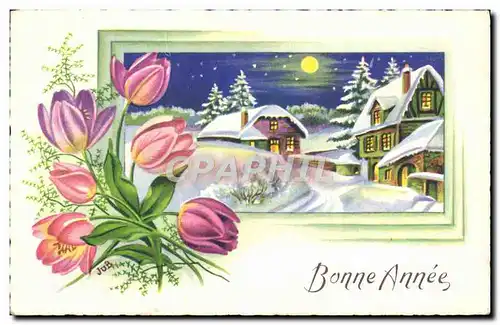 Cartes postales Fantaisie Bonne annee