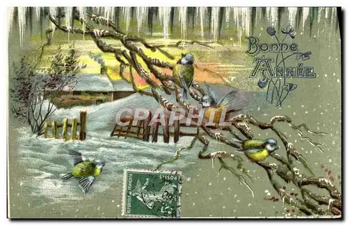 Cartes postales Fantaisie Bonne annee oiseaux